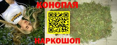 спайс Аша