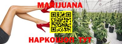 спайс Аша
