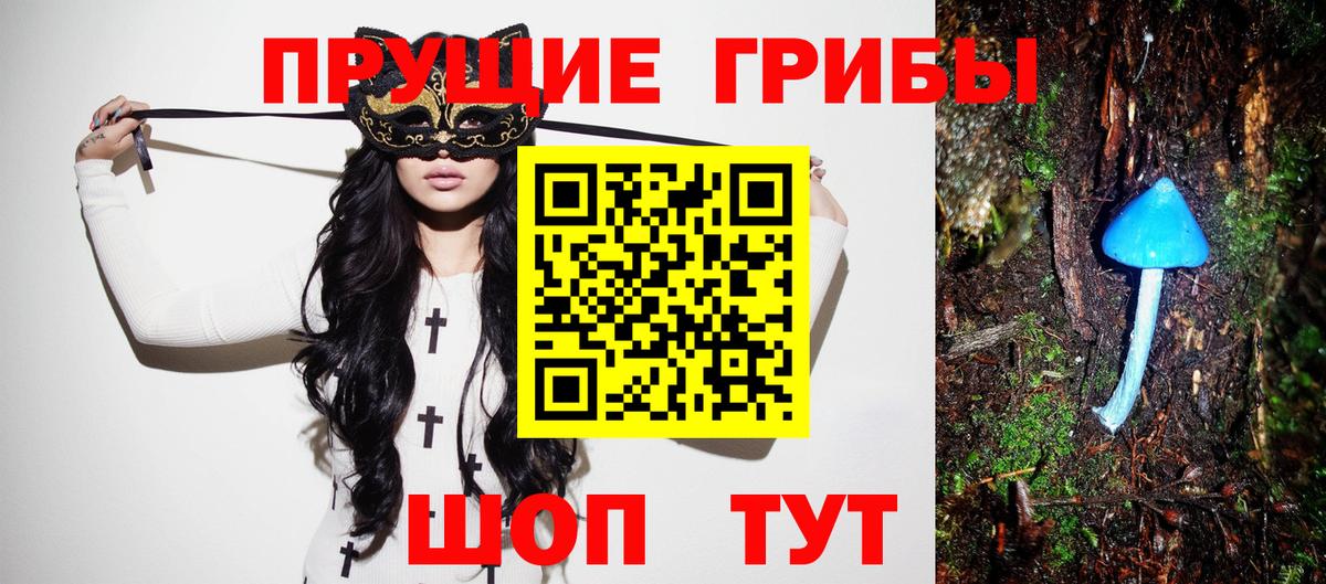 Благодарный  Галлюциногенные грибы Psilocybe  Галлюциногенные грибы Cubensis  Вход с VPN 
